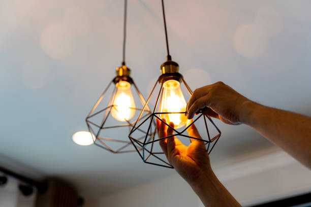 Best 24-Hour Electrician  in Cambria, IL