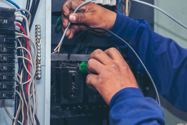 Best Residential Electrician Services  in Cambria, IL